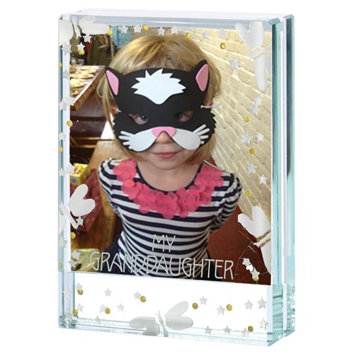Small Frame Dragonflies My Granddaughter