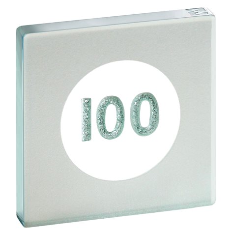 Miniature Token 100 Glitter Silver