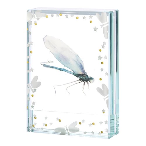 Small Frame Dragonflies & Stars