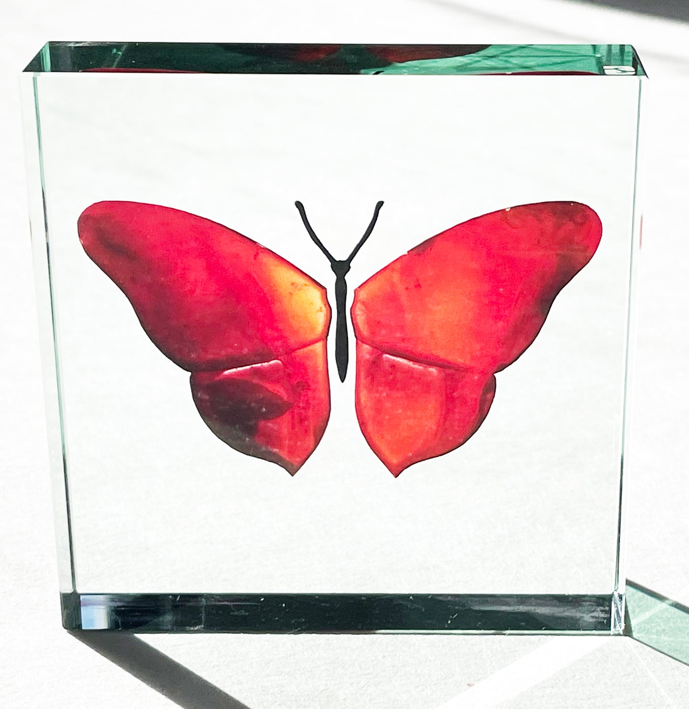 One-Off Medium Paperweight Butterfly Firey Red 1