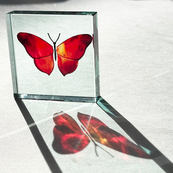 One-Off Medium Paperweight Butterfly Firey Red 2