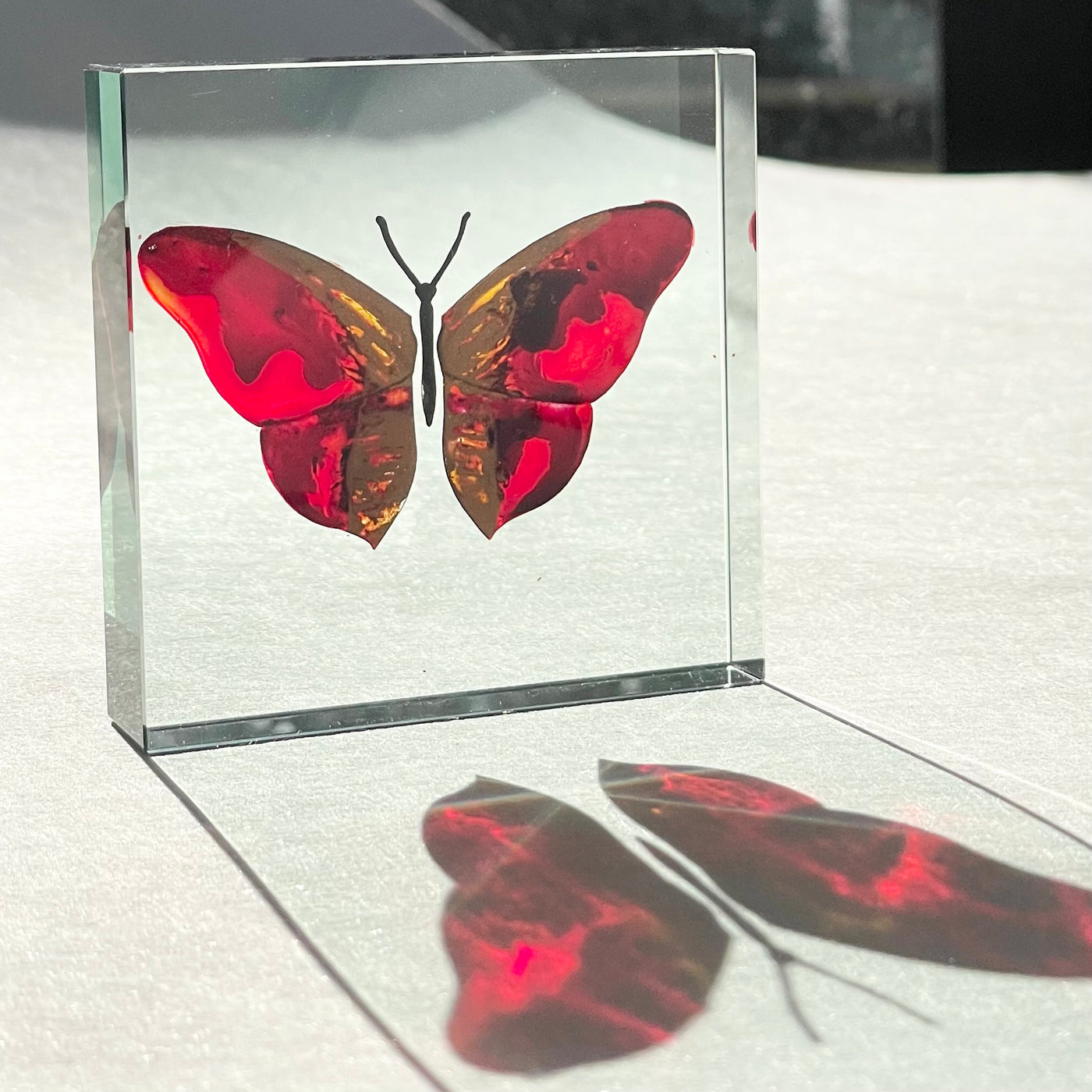 One-Off Medium Paperweight Butterfly Firey Red 3