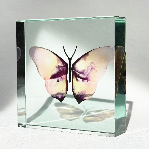 One-Off Medium Paperweight Butterfly Delicate Painterly Wings 1