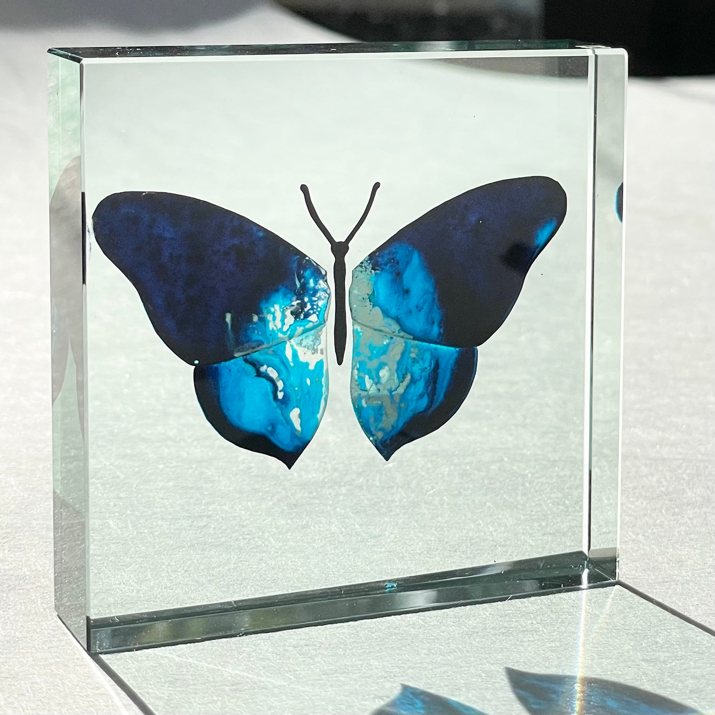 One Off Medium Paperweight Butterfly Dark Blue